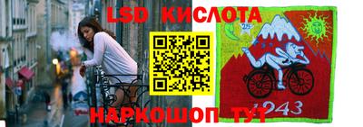 прущие грибы Аша