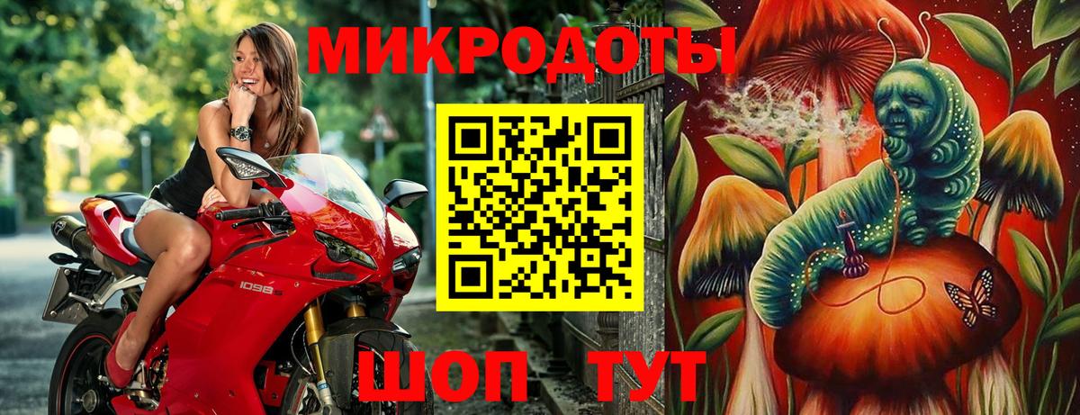 Псилоцибиновые грибы GOLDEN TEACHER  Вход с VPN  Псилоцибиновые грибы MAGIC MUSHROOMS  Керчь 