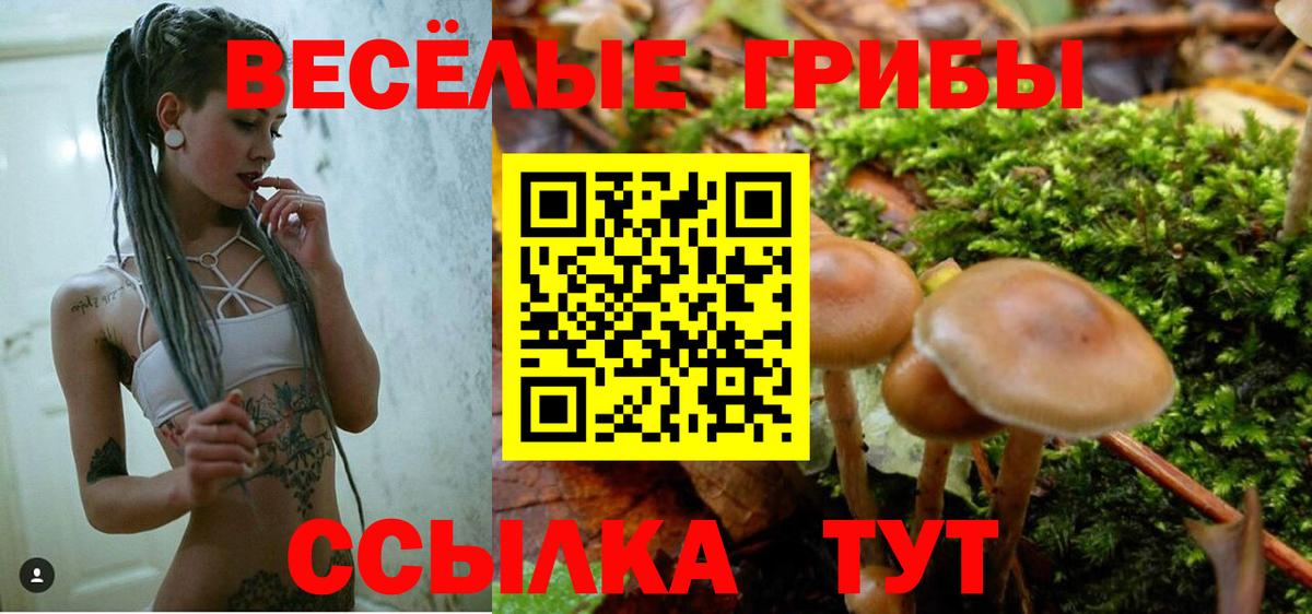 Галлюциногенные грибы мицелий Керчь